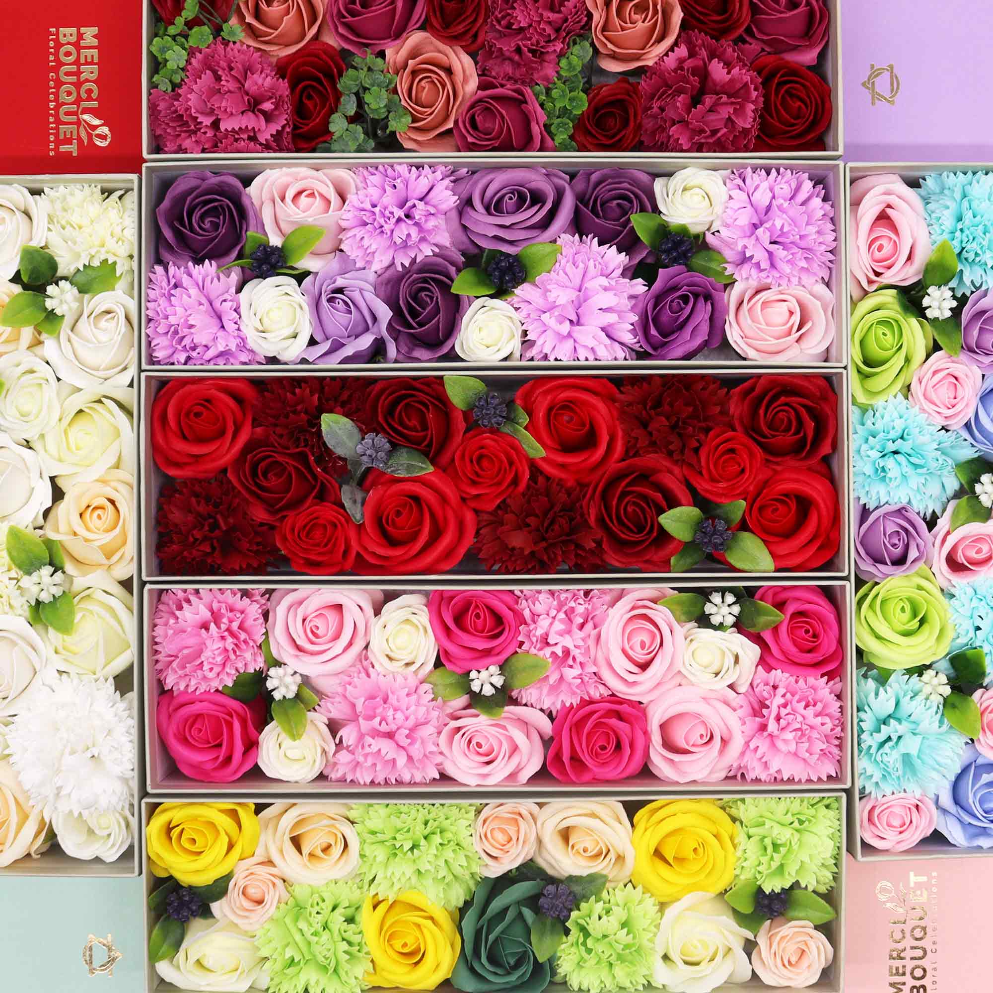 Fiori di Sapone – Conf. Lunga